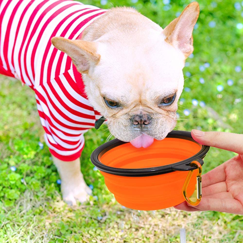 5" Portable and Foldable Small Dog Bowl-Orange set of 5