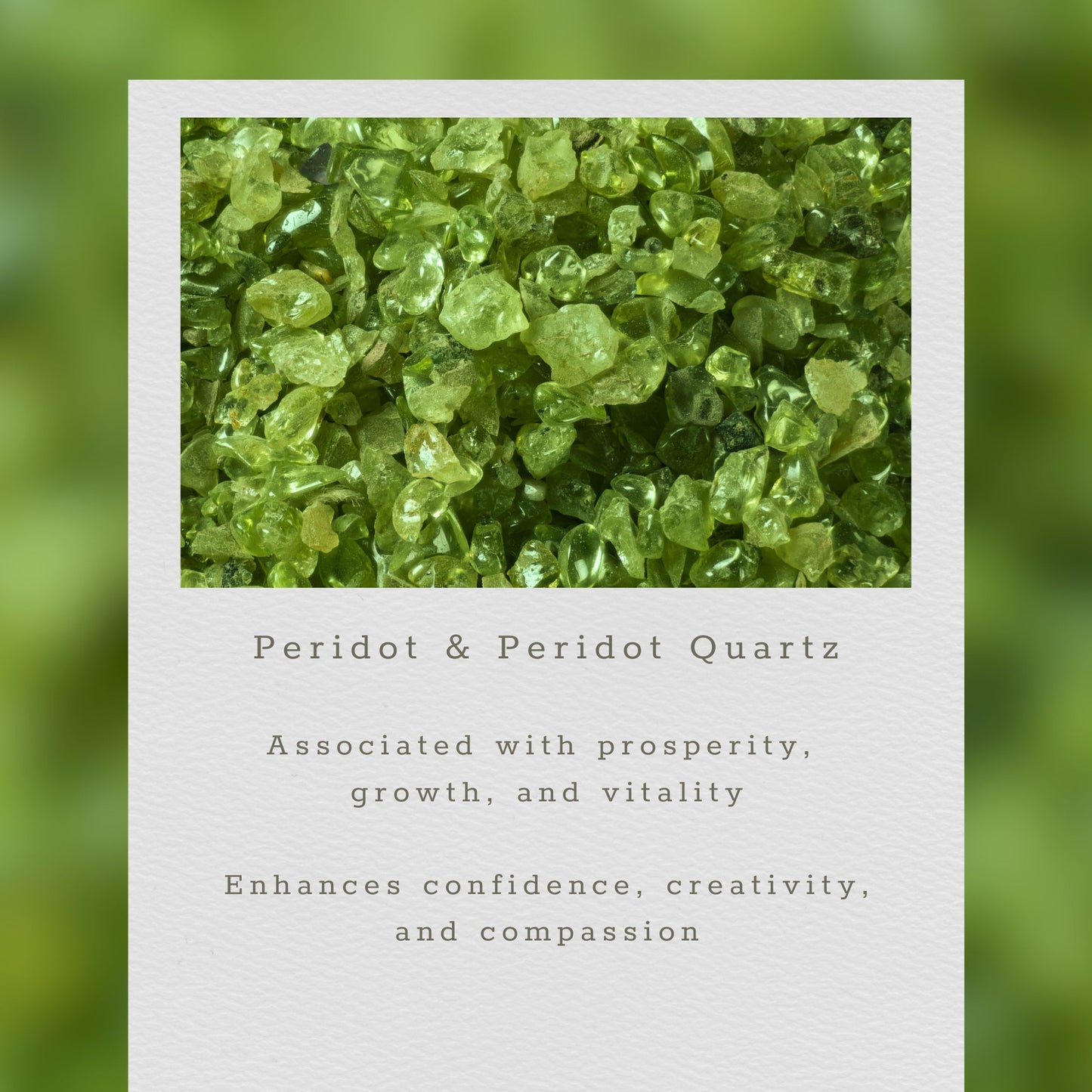 Peridot Green Quartz Gold Drop Earrings