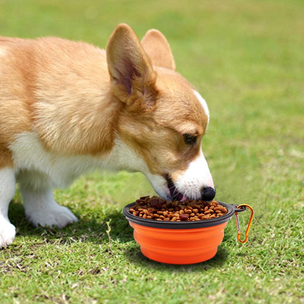 5" Portable and Foldable Small Dog Bowl-Orange set of 5