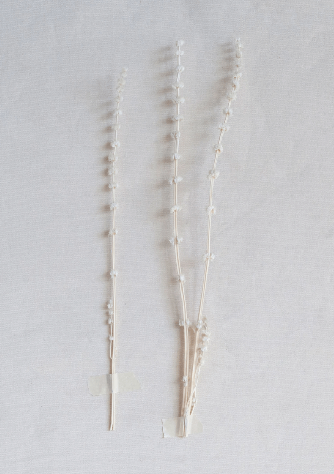 Dried Natural Lions Tail Bunch