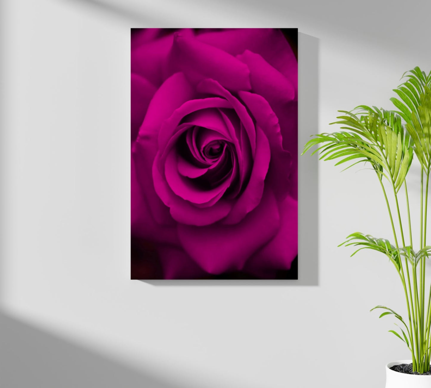 Rose Aluminum Print