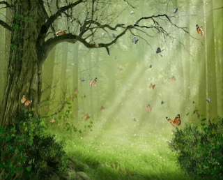 Enchanted Forest Soy Candle – Earthy & Mystical Scent | Mam Jam’s