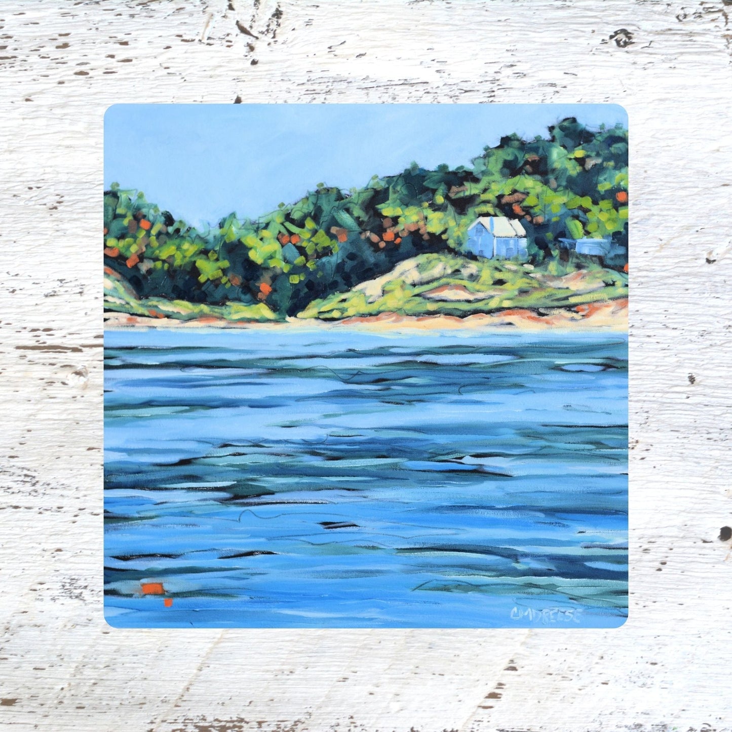 Coaster/ Trivet/ Magnet: The Shores of Lake Michigan