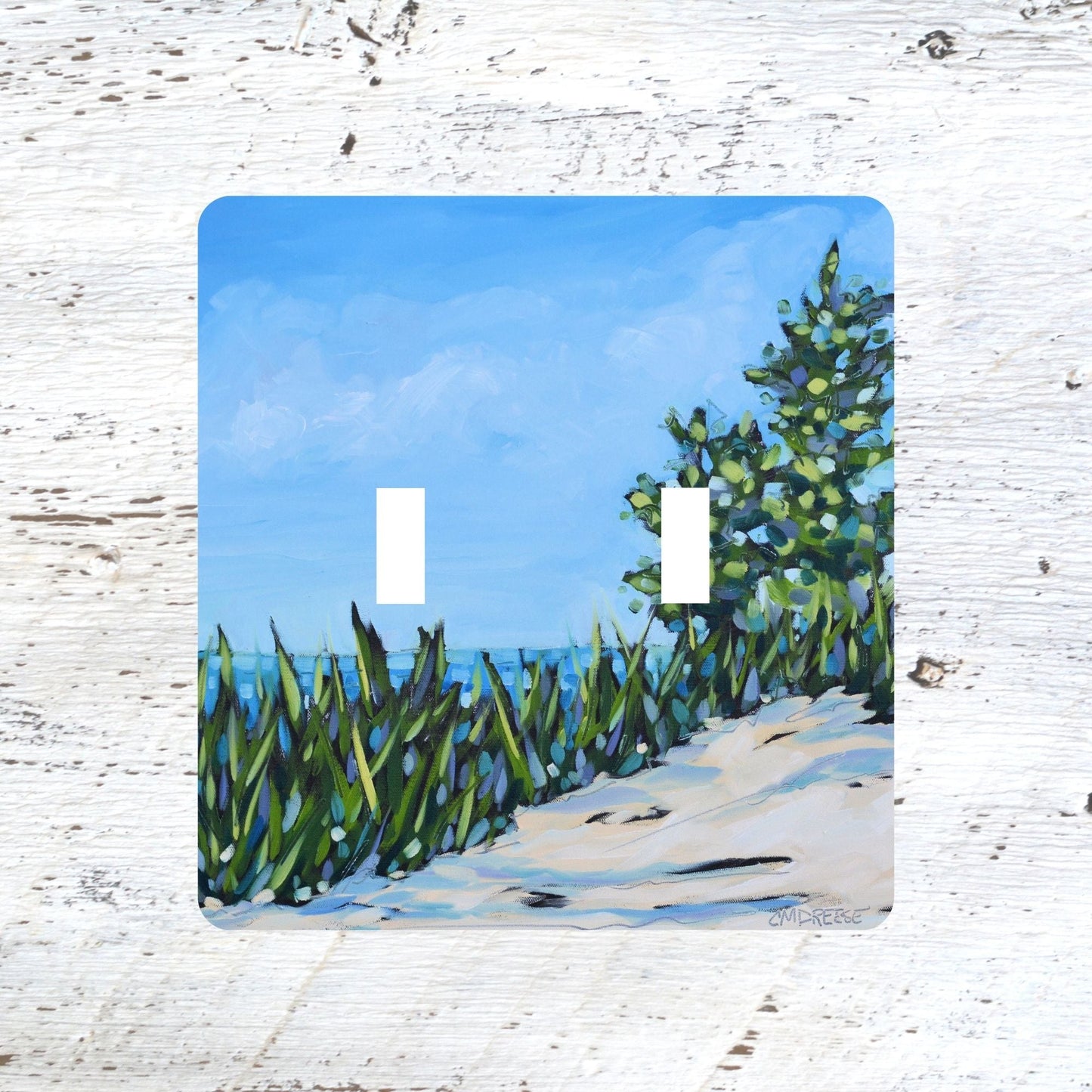 Switch Plates: "Water Encounters"