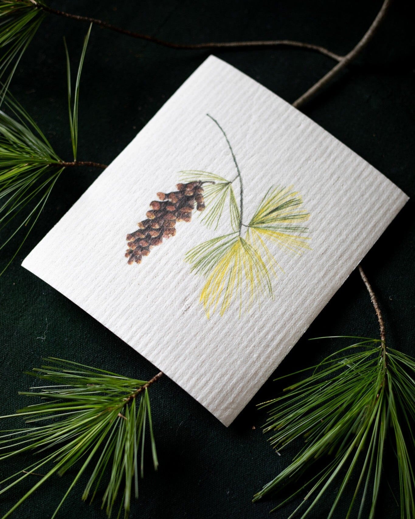 Hostess set of 3 | Pears, Tangerine, and Pinecone (Botanical artist Cara Cummings)