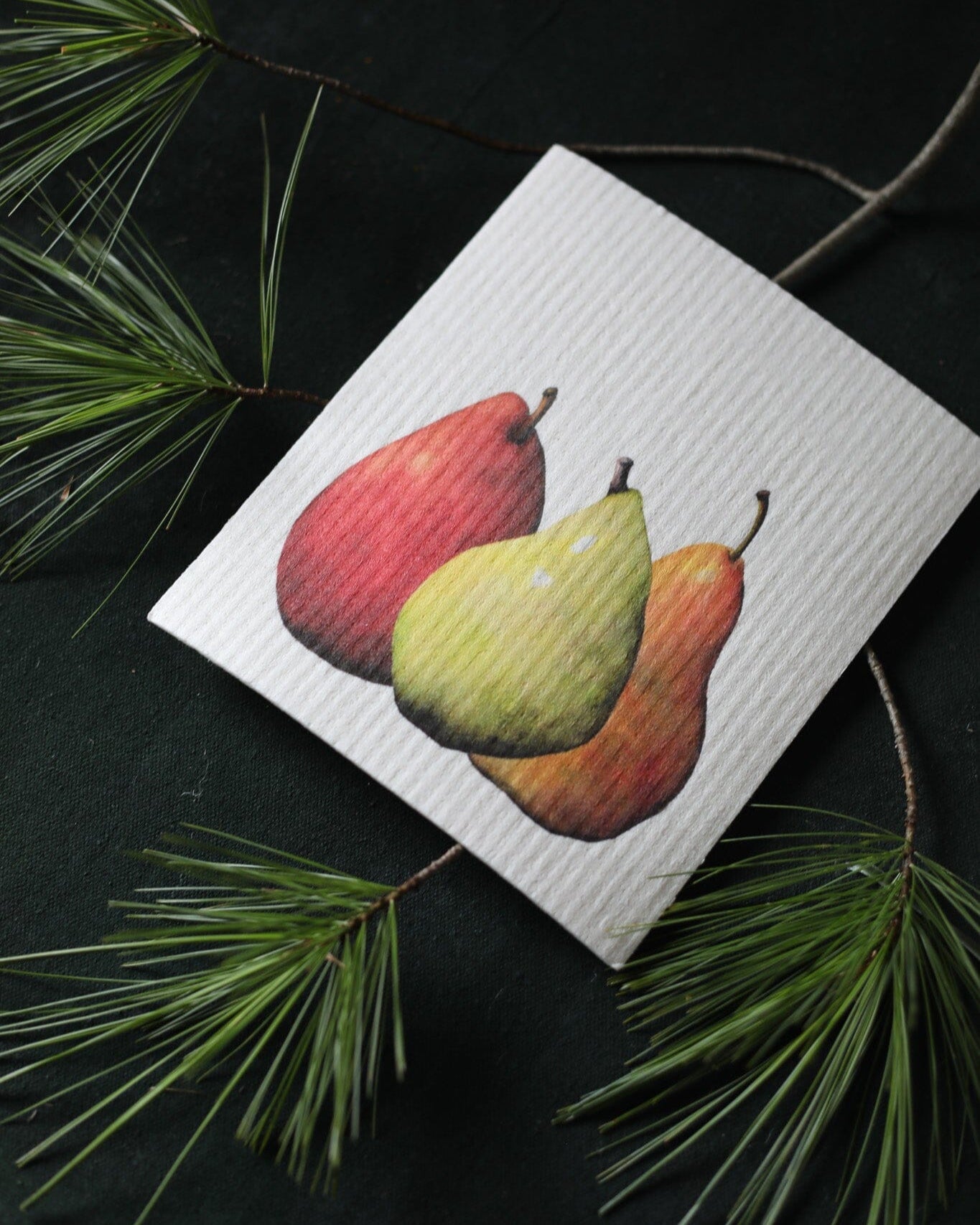 Hostess set of 3 | Pears, Tangerine, and Pinecone (Botanical artist Cara Cummings)